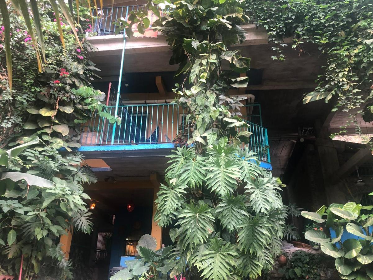 Casa Cereza Apartments 巴亞爾塔港 外观 照片